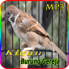 Suara Burung Gereja untuk Masteran kasar আইকন