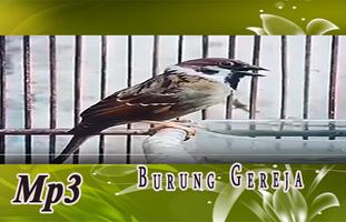 Suara Burung Gereja untuk Masteran kasar capture d'écran 2