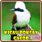 Kicau Burung Poksay Gacor icône