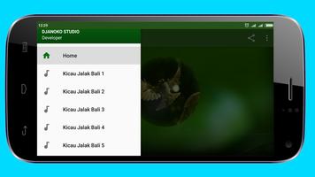 Kicau Jalak Bali Gacor screenshot 3