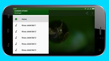 Kicau Jalak Bali Gacor ภาพหน้าจอ 3