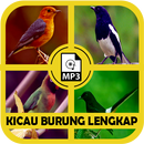 Kicau Burung Lengkap MP3 APK