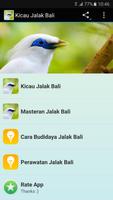 Poster Kicau Master Jalak Bali Gacor