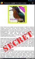 Juara Kicau Kolibri Masteran تصوير الشاشة 1