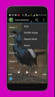 Master Kacer|Mp3 Kicau Burung screenshot 3