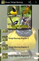 Kicau Terapi Burung โปสเตอร์