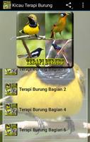 Poster Kicau Terapi Burung