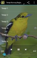 Kicau Terapi Burung imagem de tela 1