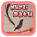 Suara Burung Murai Batu APK