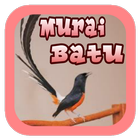 Suara Burung Murai Batu आइकन