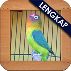 Masteran Loverbird Ngetik icono