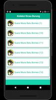 Master Kicau Murai Borneo imagem de tela 2