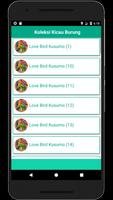 Masteran Loverbird Kusumo imagem de tela 2