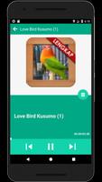 Masteran Loverbird Kusumo imagem de tela 3