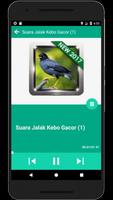 Jalak Kebo Mania স্ক্রিনশট 3