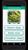 Kicau Kutilang Emas Lengkap capture d'écran 1