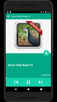 Kicau Ruak Ruak Gacor screenshot 3