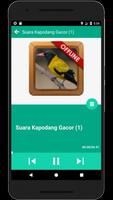 Suara Burung Kepodang Gacor capture d'écran 3