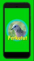 Suara Burung Perkutut Juara স্ক্রিনশট 1