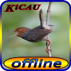 Kicau Pikat Burung Prenjak Gacor icon