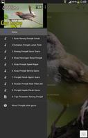 Kicau Pikat Burung Prenjak Gacor capture d'écran 1