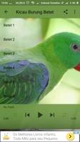 Kicau Burung Betet offline Ekran Görüntüsü 1