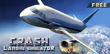 Extreme Airplane Crash Landing