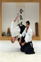 Aikido poster