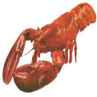 BayLobsters Fish Market 图标