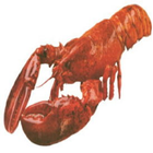 BayLobsters Fish Market icon