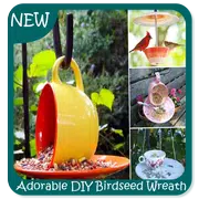 Adorable guirnalda DIY Birdseed Tutorial