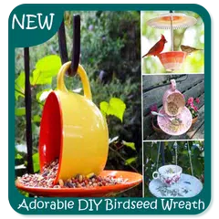Adorable DIY Birdseed Wreath Tutorial APK 下載