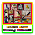 Kicau Burung Masteran ~ Terbaik