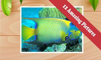 Fish Breeding Games: Kids imagem de tela 2