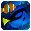 Dory & Clown Fish Puzzle APK