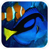 Icona Dory & Clown Fish Puzzle