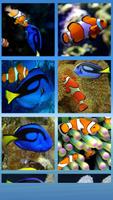 Dory & Clown Fish Puzzle पोस्टर