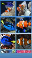Dory & Clown Fish Puzzle تصوير الشاشة 1