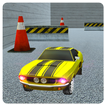 Toy Car Rally