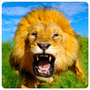 APK Wild Lion Simulator