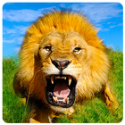 simulateur de lion sauvage icône