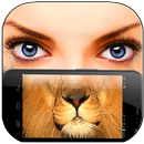 Что Животное мое лицо Шутка APK