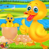 Duckling Pet Care & Hatching