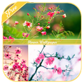 Flower Wallpaper