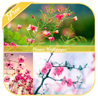 Flower Wallpaper-icoon