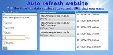 Auto refresh website