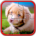 Dog Jigsaw Puzzles Brain Games for Kids Free আইকন