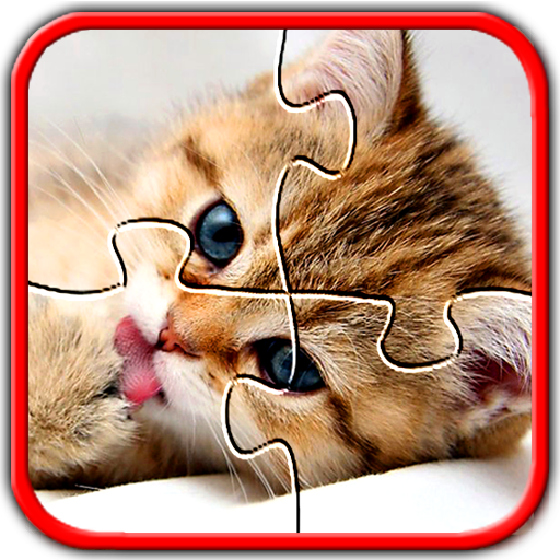 Kitten gioco del gatto puzzle