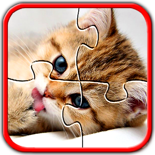 Kitten Cat Game quebra-cabeças