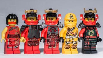 Ninjago Warrior Shadow Ekran Görüntüsü 1